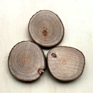 Wood disk 