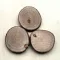 Wood disk 
