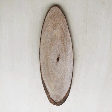 Wood slice 23x8cm