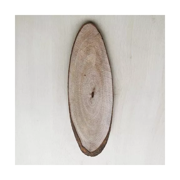 Wood slice 23x8cm Wood slice 23x8cm