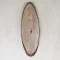 Wood slice 23x8cm