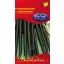 Black salsify 1g