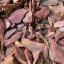 Pine bark mulch 1L