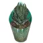 Haworthia superfasciata