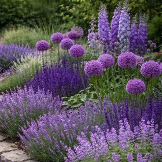 Válassz színt! – online kerttervező csomag