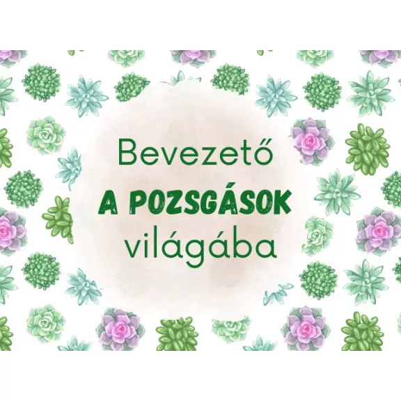Bevezető a pozsgások világába E-könyv (Hungarian e-book)