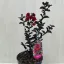  Lagerstroemia 'Black Diamond Crimson Red'