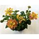 Lantana camara 'Pink Sky'