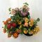 Lantana camara
