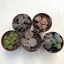 Lithops