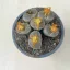 Lithops