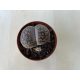 Lithops