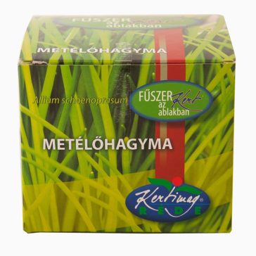 Metélőhagyma nevelő készlet