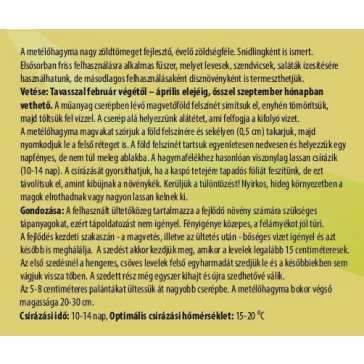 Metélőhagyma nevelő készlet