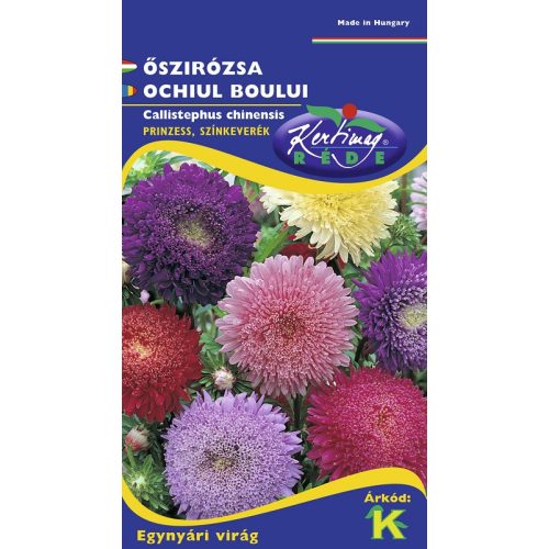 China aster Prinzess color mix