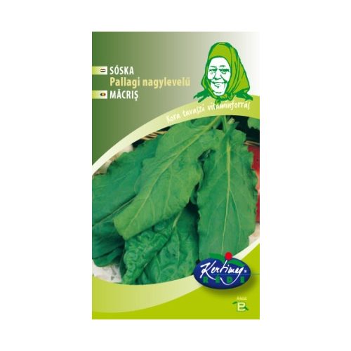 Sóska Pallagi nagylevelű