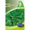 Spinach Rembrandt F1 3 g