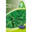Spinach Rembrandt F1 3 g