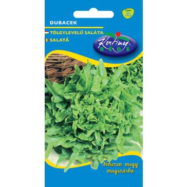   Tépősaláta Tölgylevelű 'Dubacek' (Lejárat 2026)