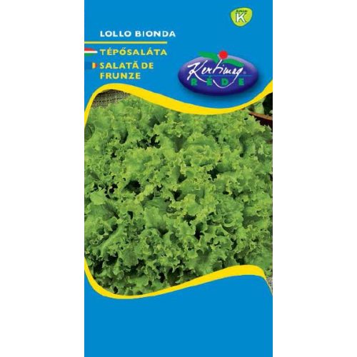 Tépősaláta Lollo bionda