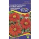 Mexican sunflower